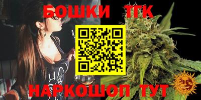 дмт Будённовск