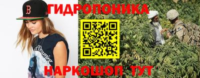 дмт Будённовск