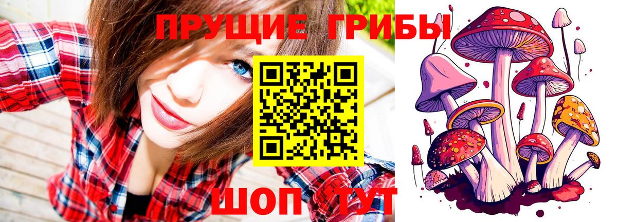 Галлюциногенные грибы мицелий Курск